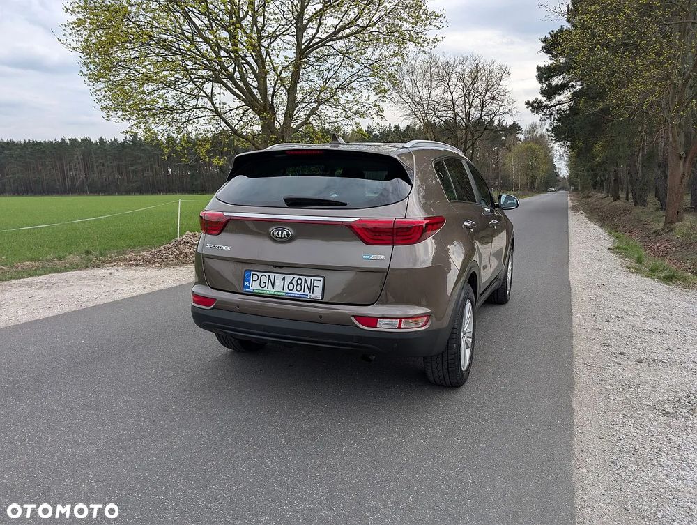 Kia Sportage 1.6 GDI L Business Line Plus 2WD - 13