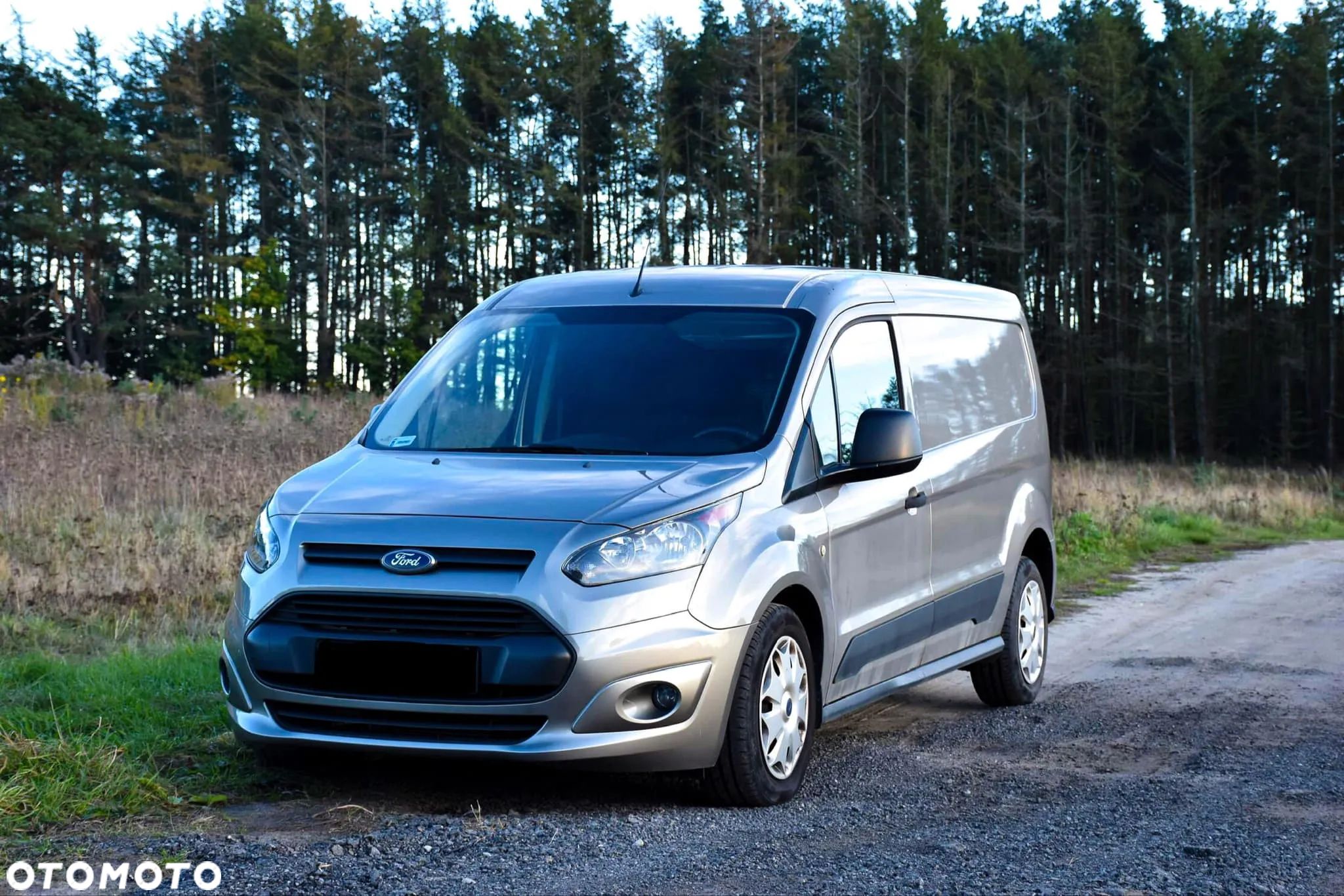 Ford Transit Connect - 1