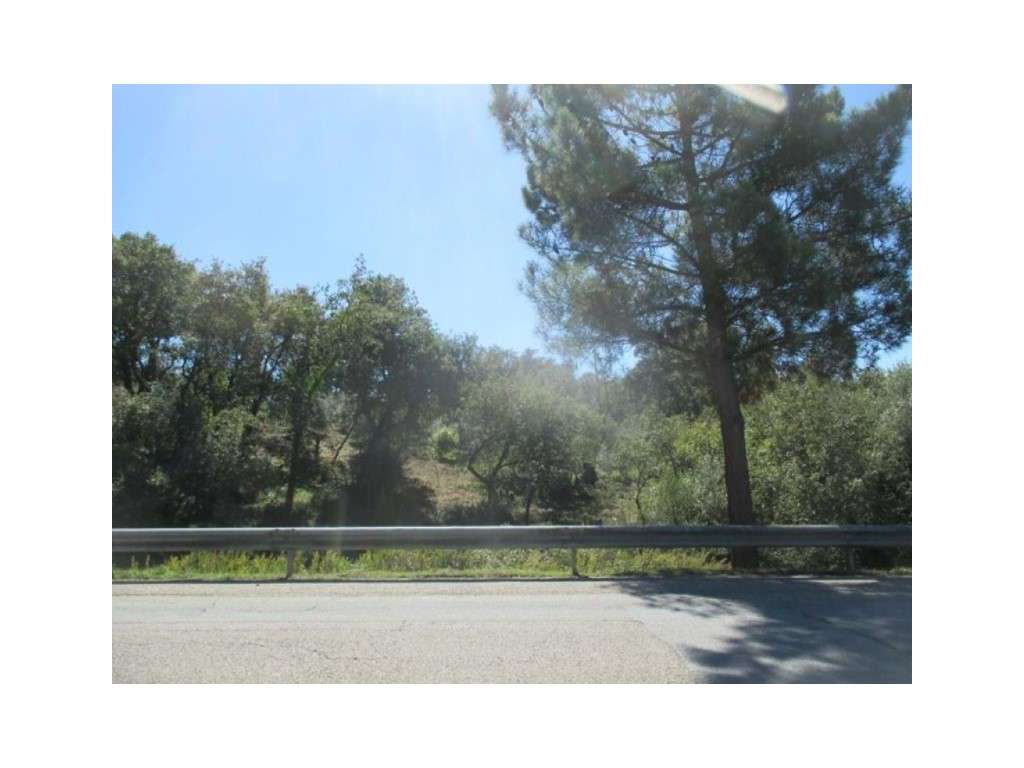 Terreno rústico com 2954m2 em Soure - Grande imagem: 5/5