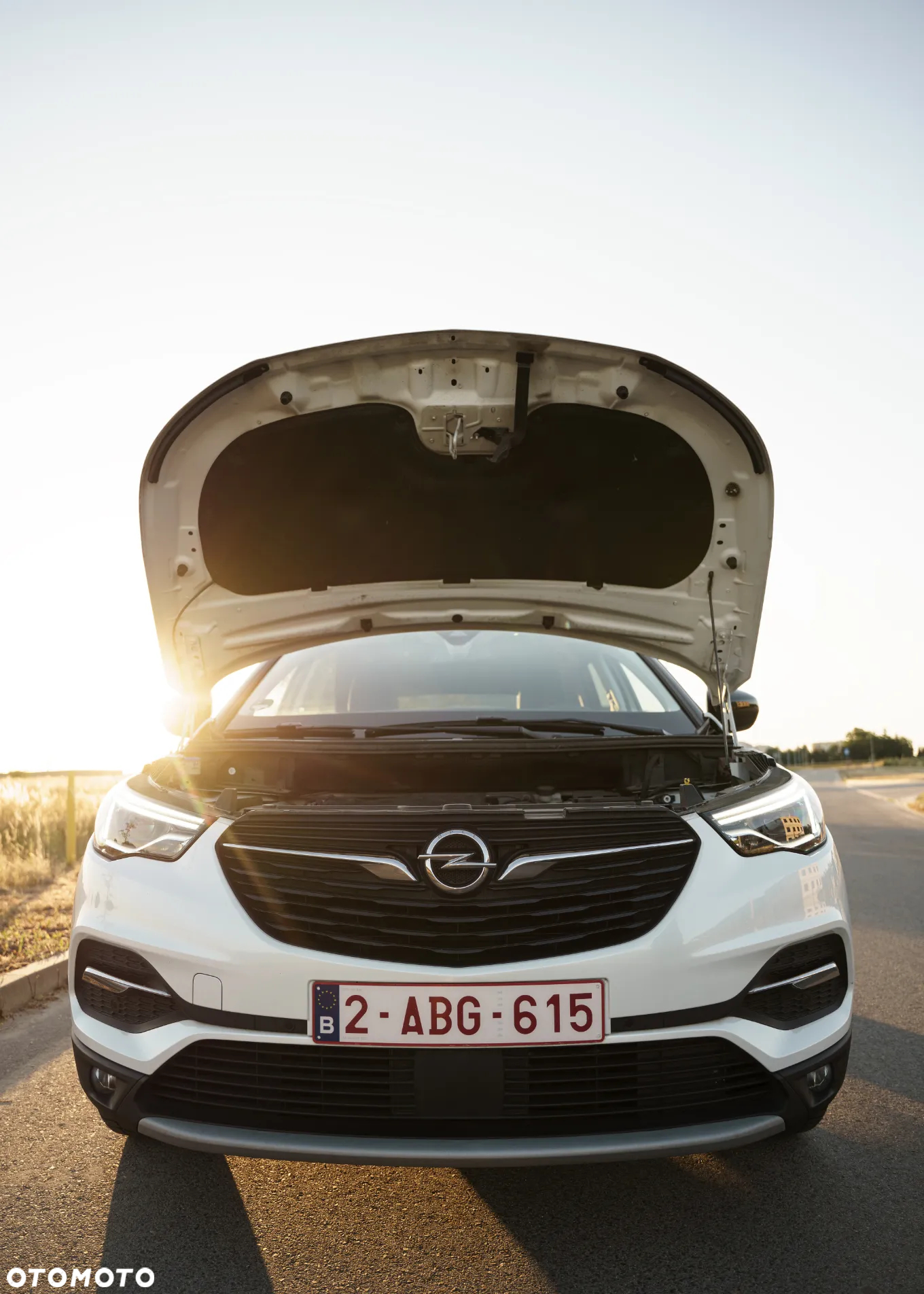 Opel Grandland X 1.5 CDTI Ultimate S&S - 13