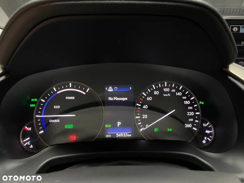 Lexus RX 450h (hybrid) - 22