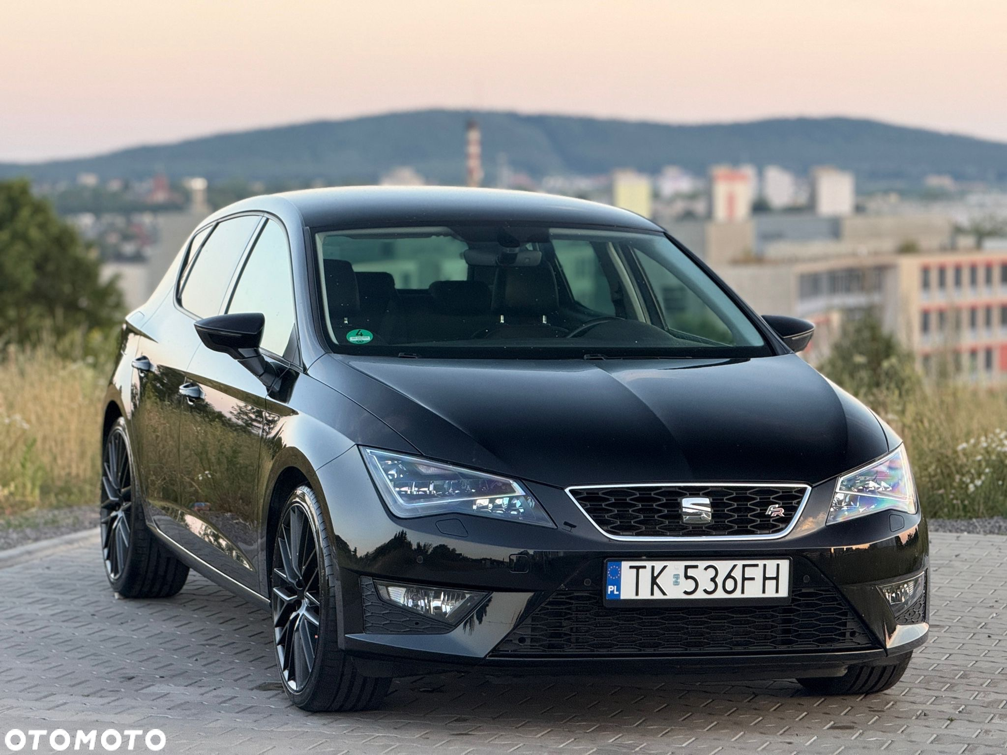 Seat Leon 2.0 TDI DPF DSG FR - 28