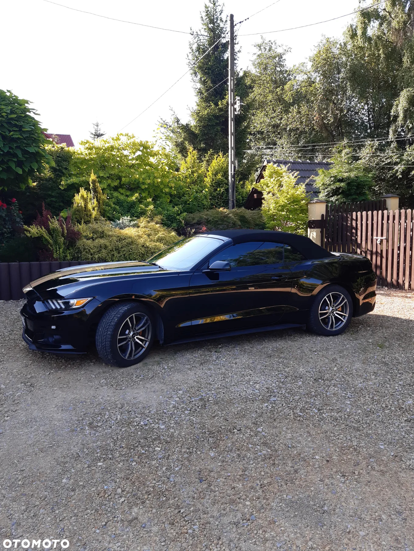 Ford Mustang Cabrio 2.3 Eco Boost - 2