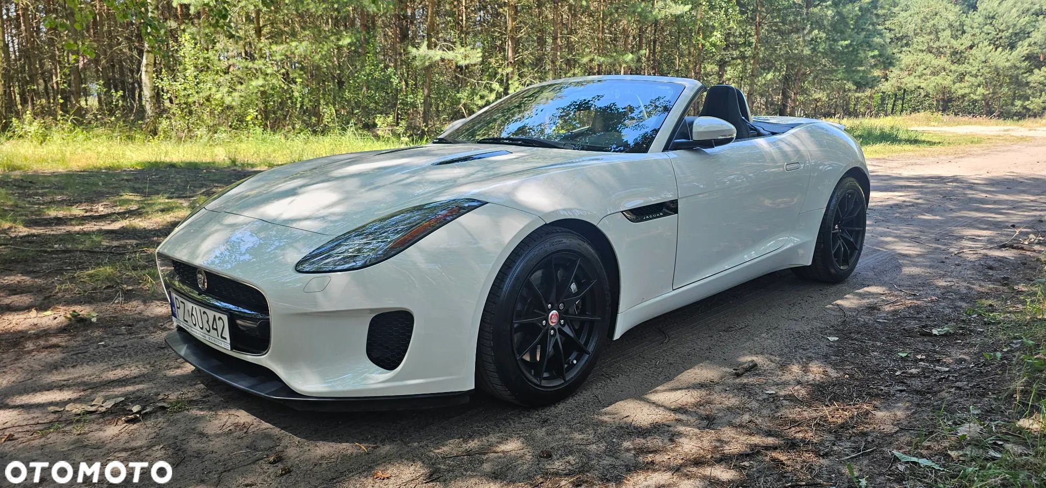 Jaguar F-Type 2.0 Turbo First Edition - 1