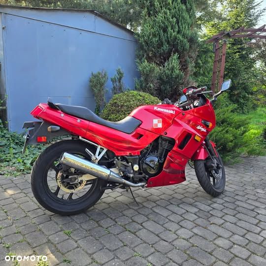 Kawasaki Ninja 250R - 3