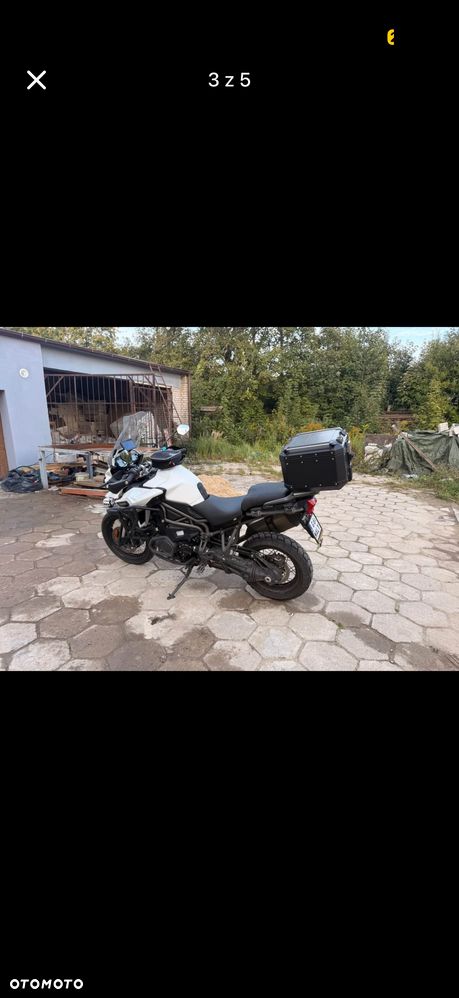 Triumph Tiger - 3