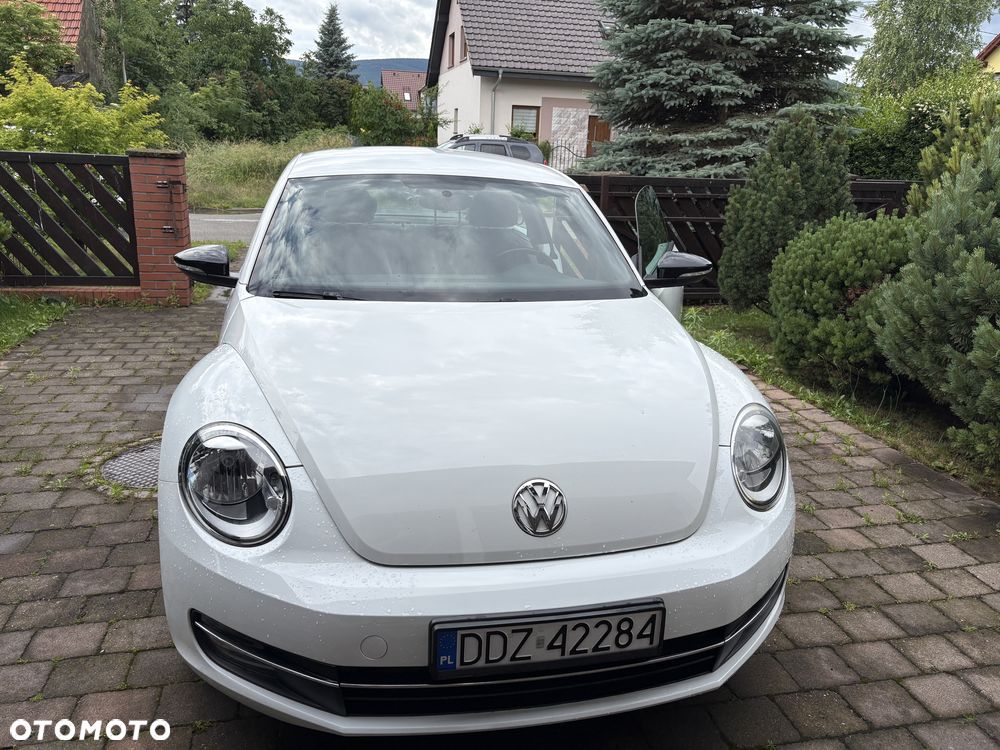 Volkswagen Beetle - 3