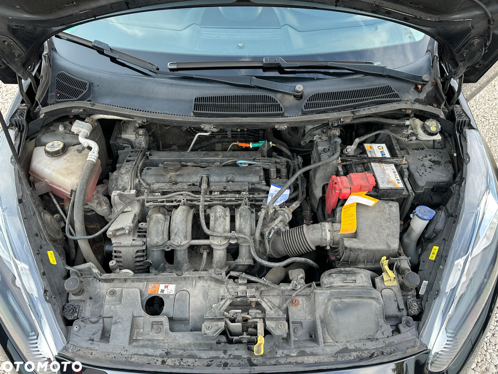 Ford Fiesta - 32