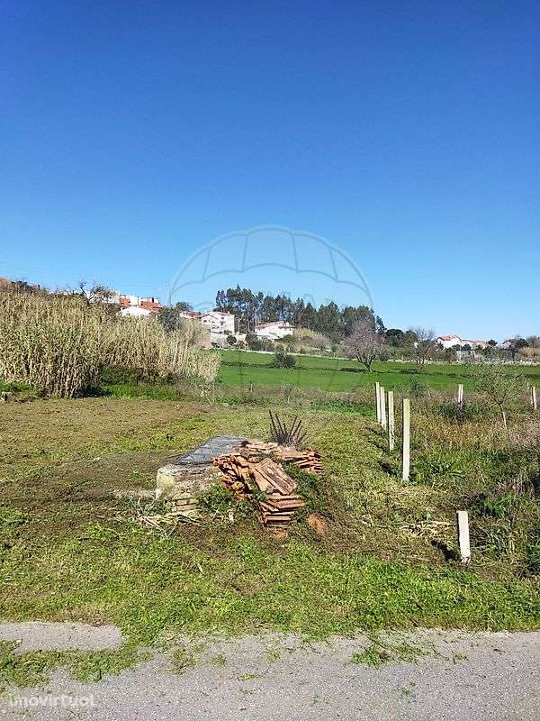 Terreno  para venda - Grande imagem: 5/6