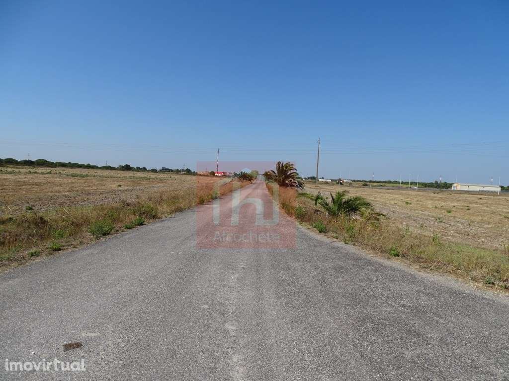 Terreno Agrícola com 21.430 m2 em Benavente - Grande imagem: 5/10
