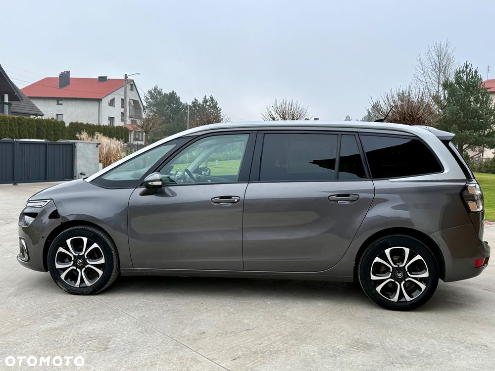 Citroën C4 SpaceTourer 1.5 BlueHDi Rip Curl S&S EAT8 - 9