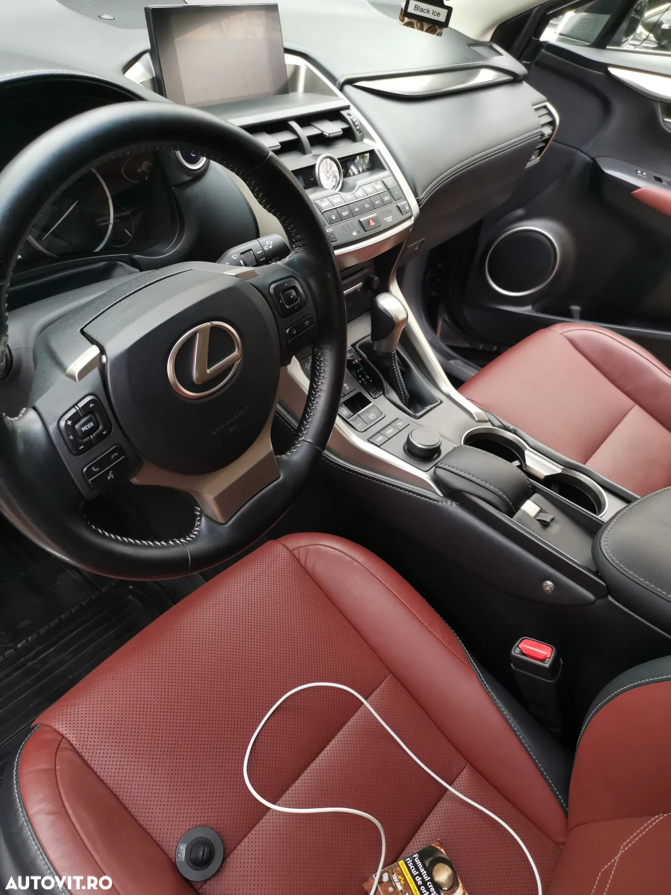 Lexus Seria NX 300h Executive - 11