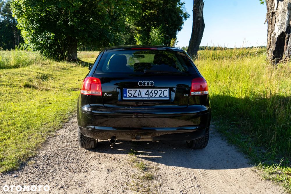 Audi A3 3-drzwiowe 1.6 Ambition - 8