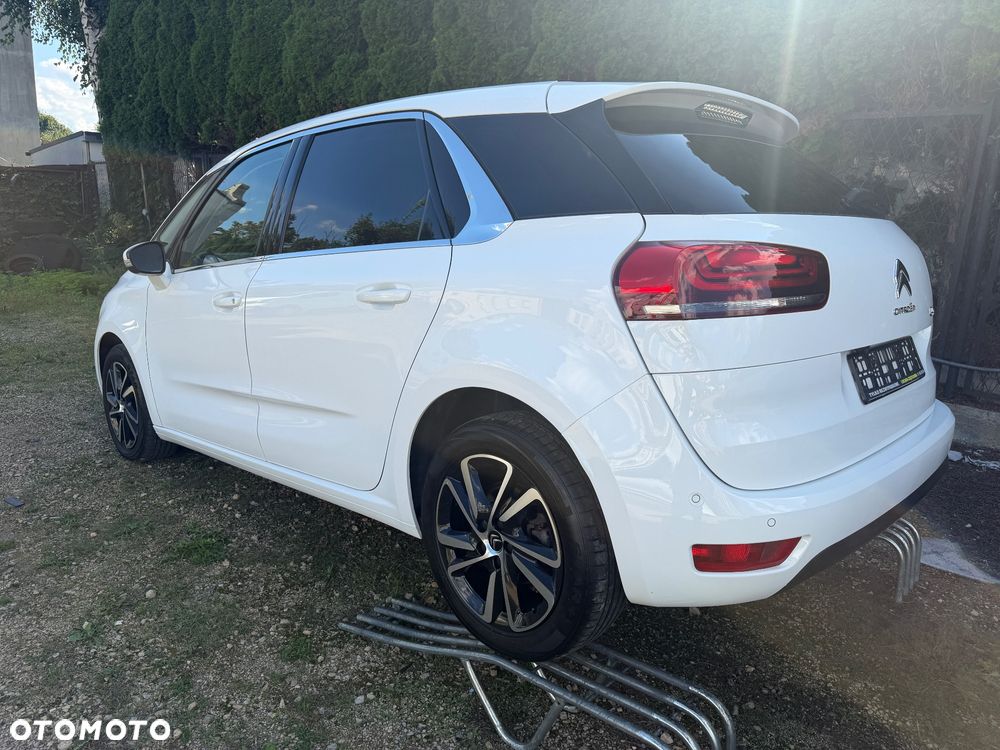 Citroën C4 SpaceTourer 1.5 BlueHDi Rip Curl S&S - 10