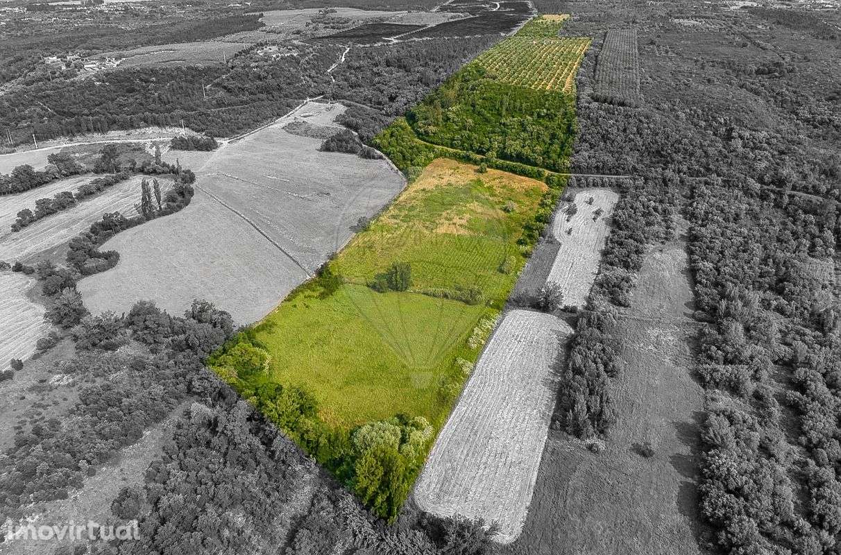 Quinta T4 para venda - Grande imagem: 3/46