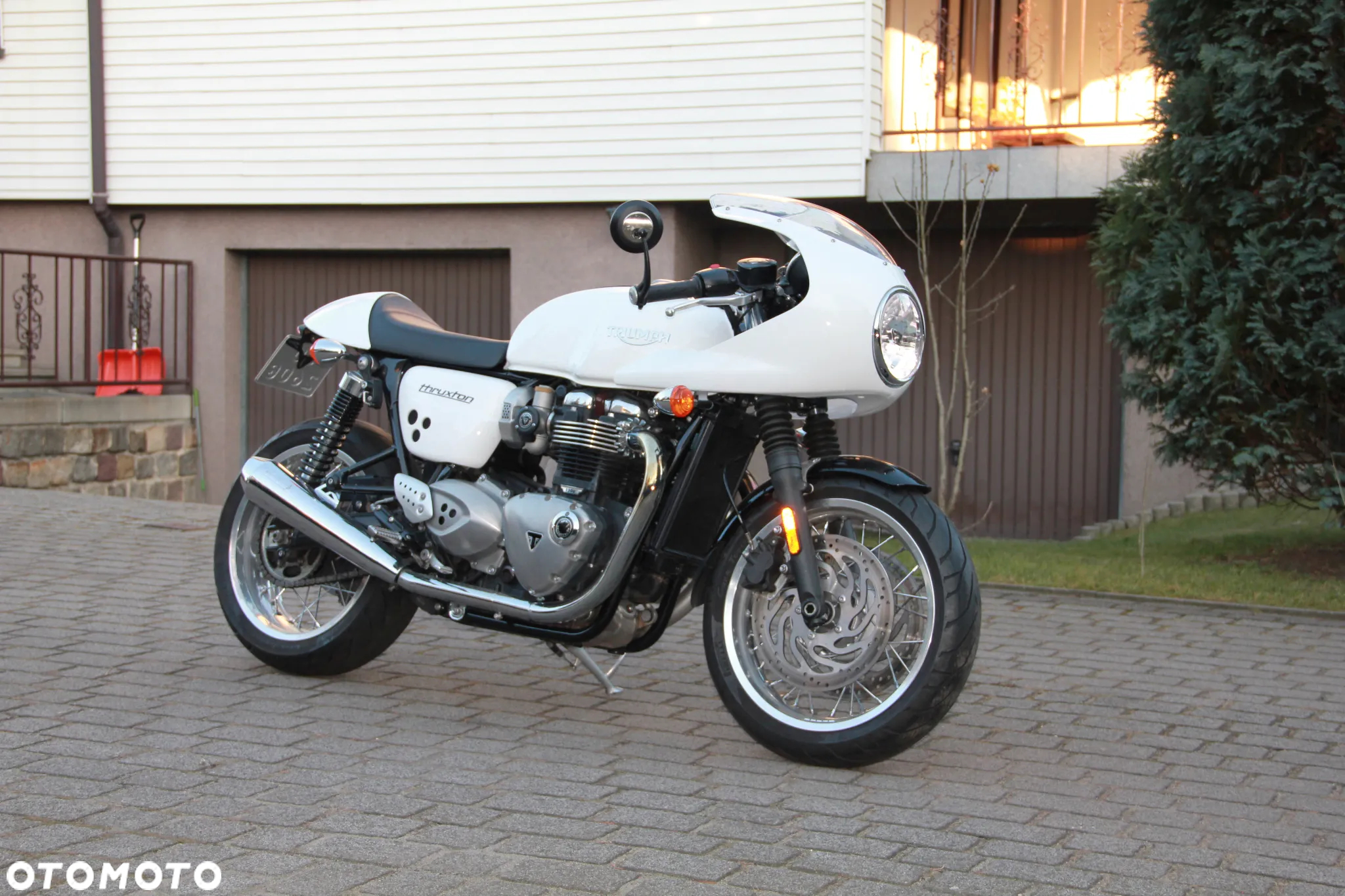 Triumph Thruxton - 2