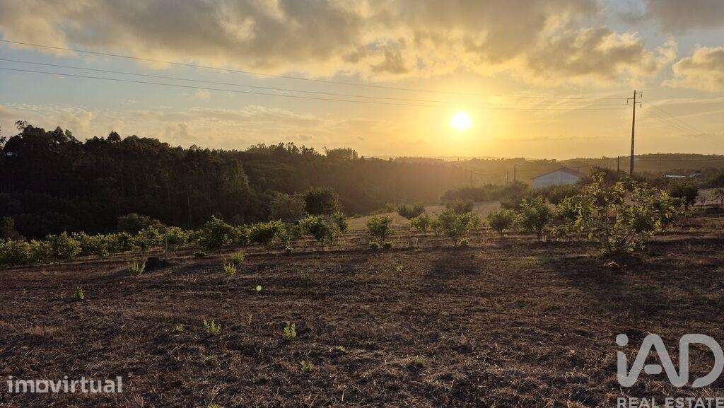 Terreno Agrícola em Bárrio - Grande imagem: 4/10