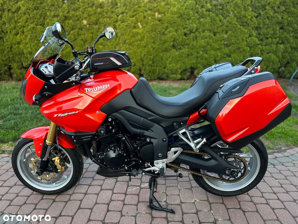 Triumph Tiger - 10