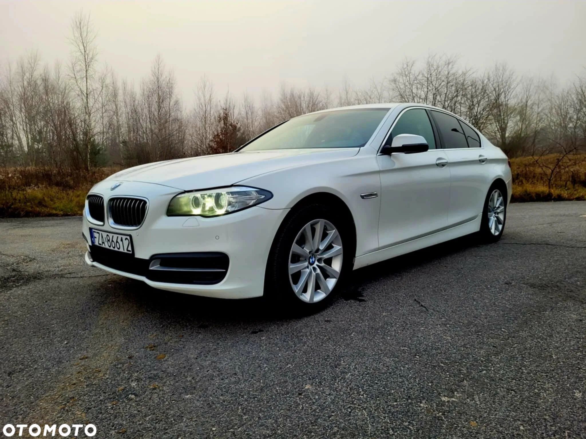 BMW Seria 5 520d xDrive - 1