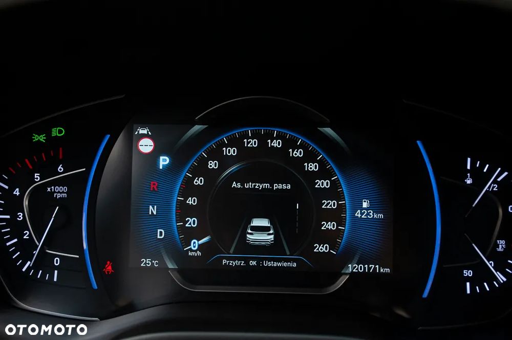 Hyundai Santa Fe 2.0 CRDi Platinum 4WD - 36