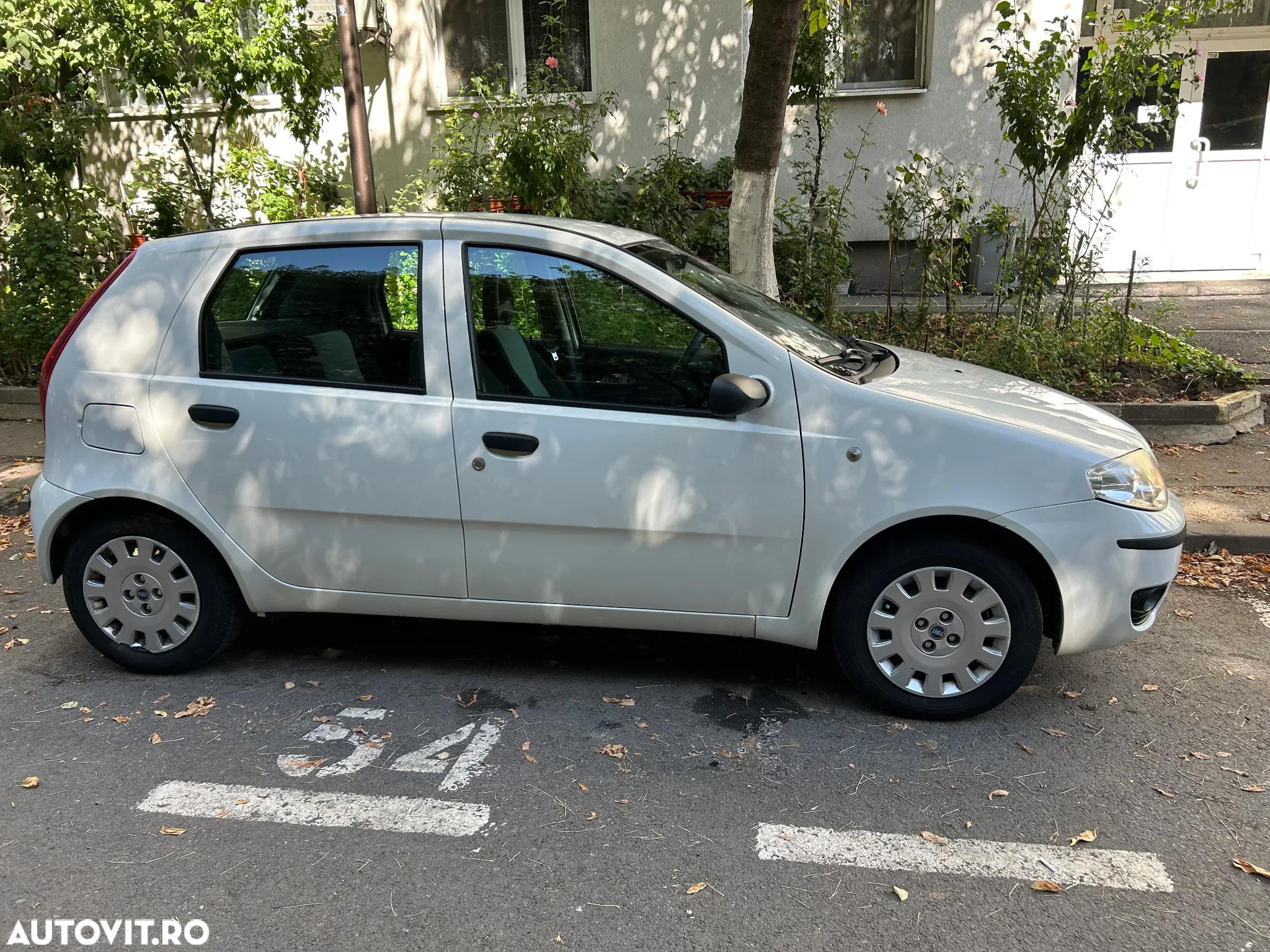 Fiat Punto 1.3 Multijet Classico - 8