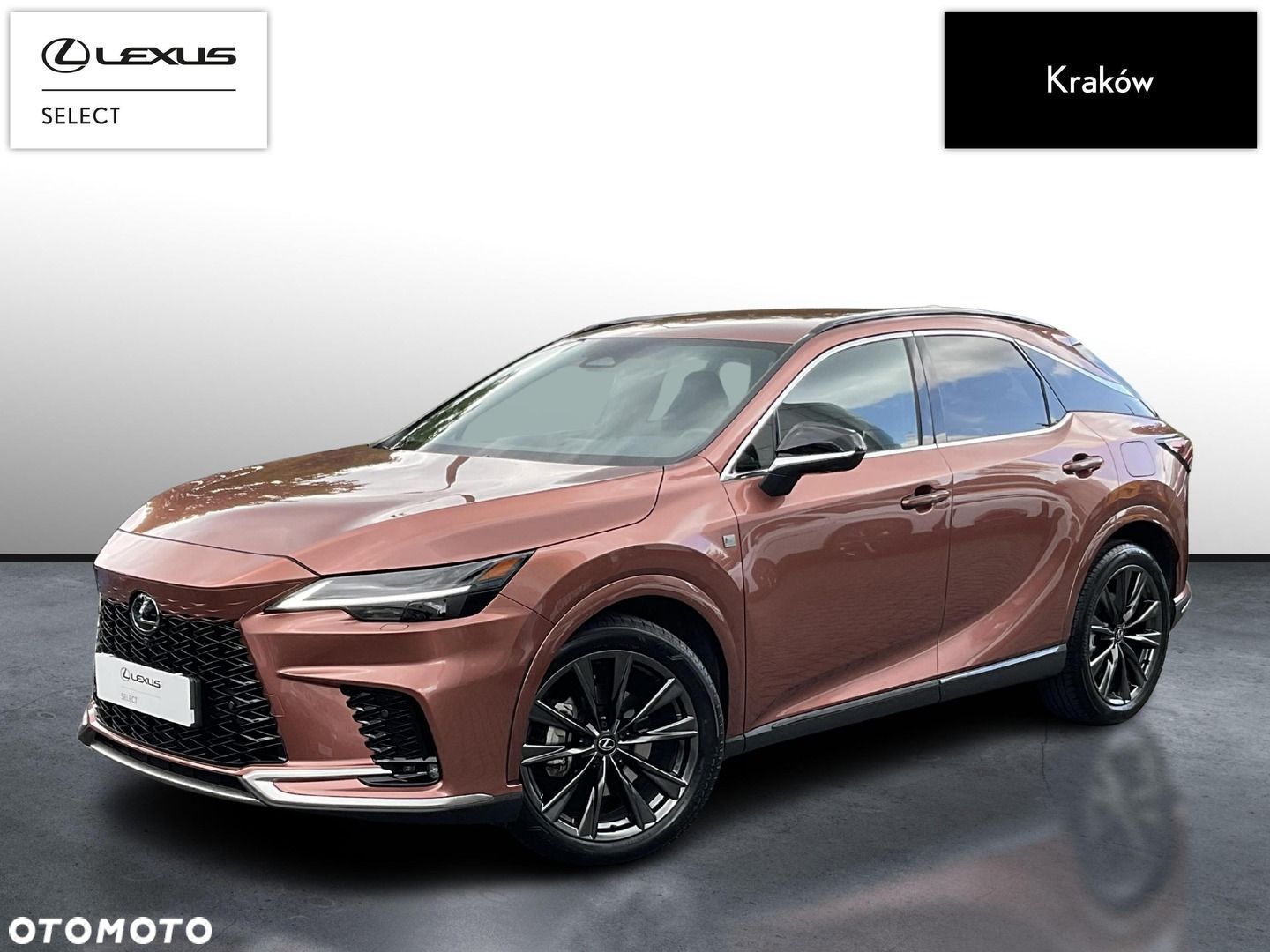Lexus RX - 1