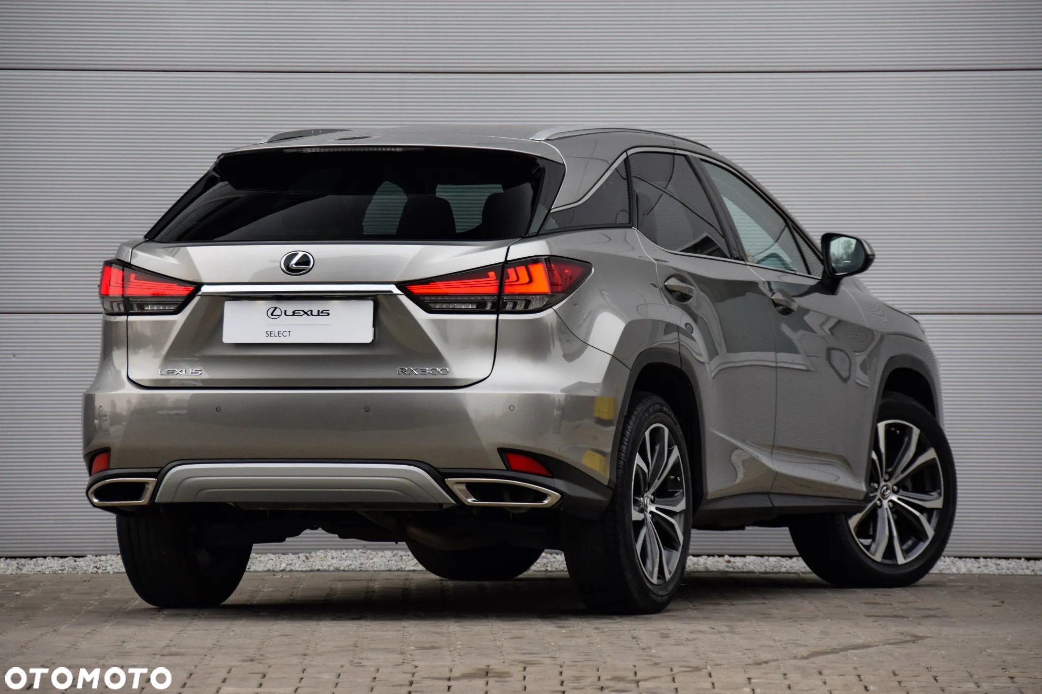 Lexus RX 300 Business Edition - 6