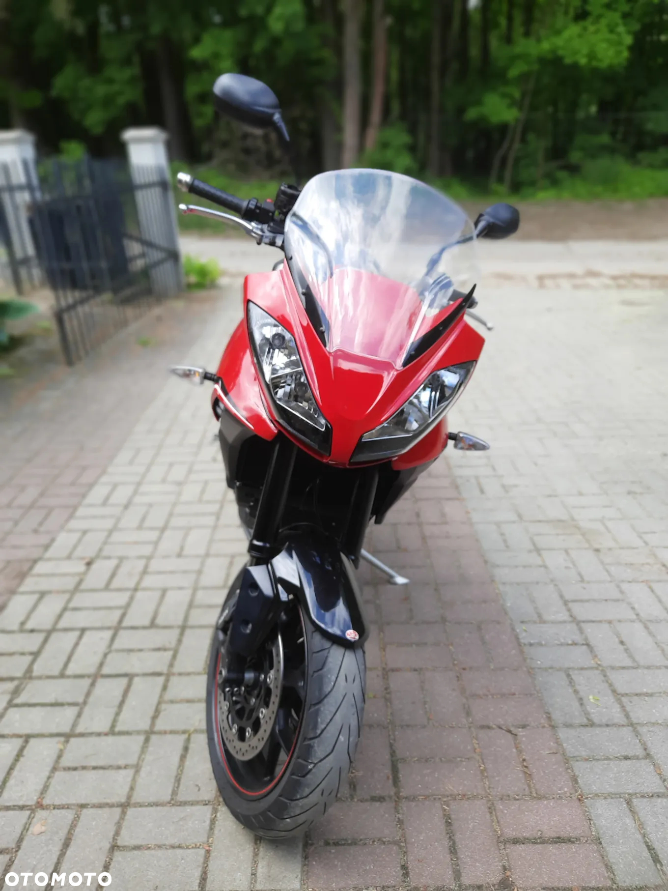 Triumph Tiger - 4