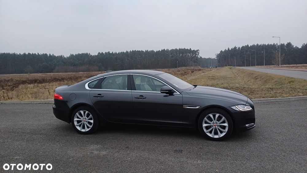 Jaguar XF 20d AWD Prestige - 17