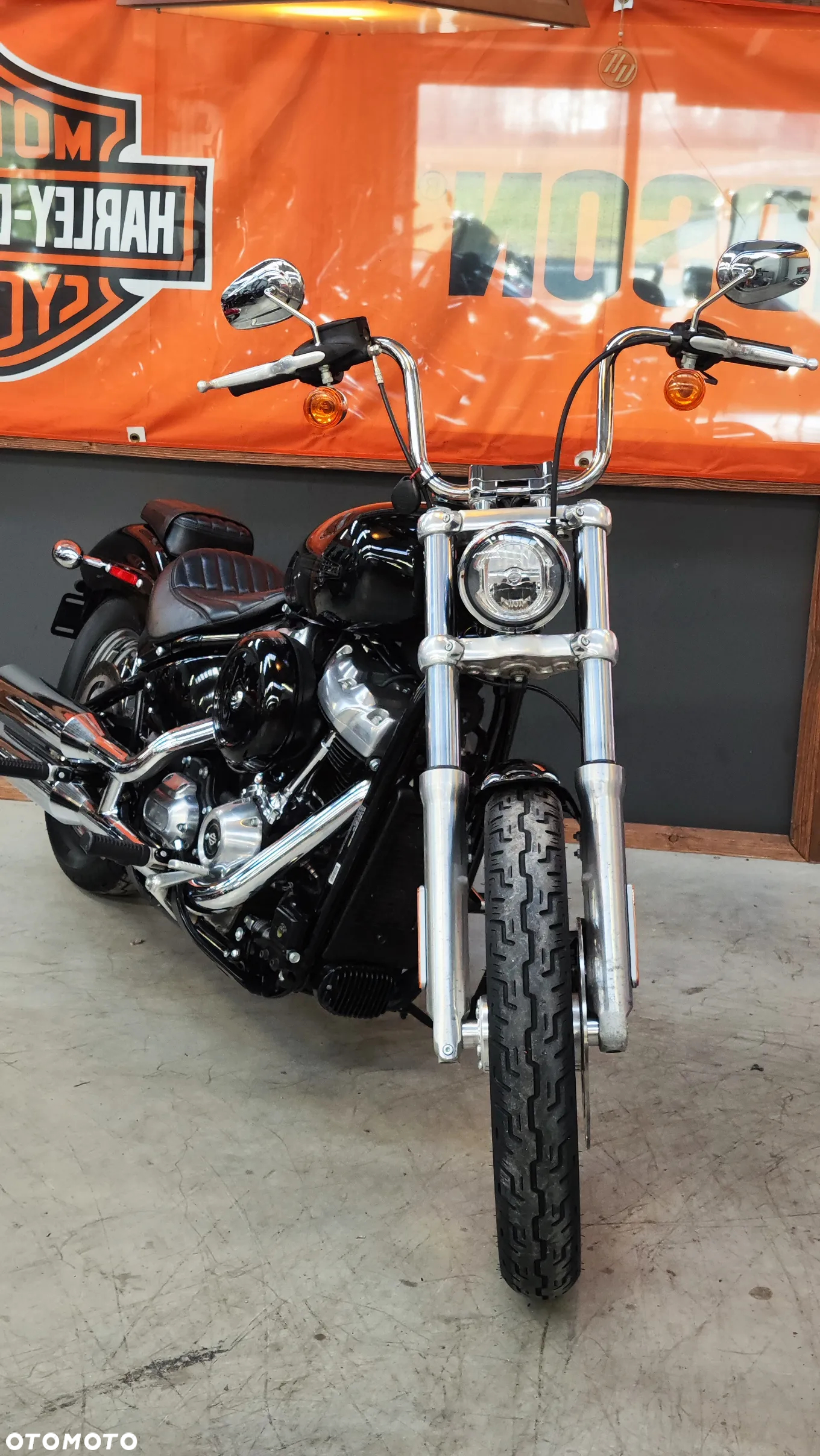 Harley-Davidson Softail Standard - 4