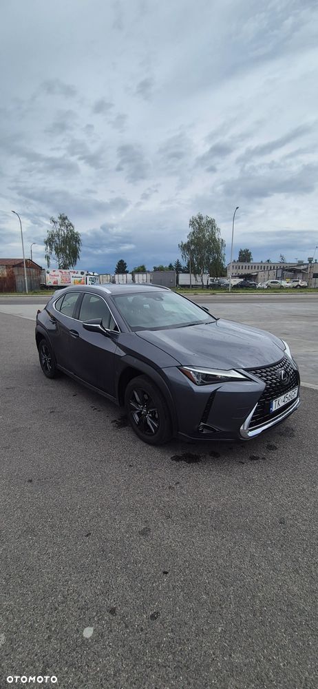 Lexus UX 250h - 7