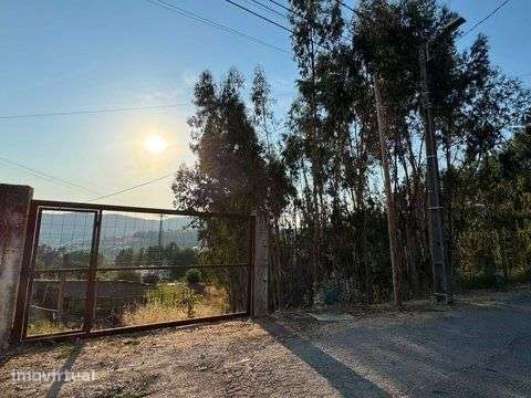 Terreno 1.500m2 Macieira de Cambra