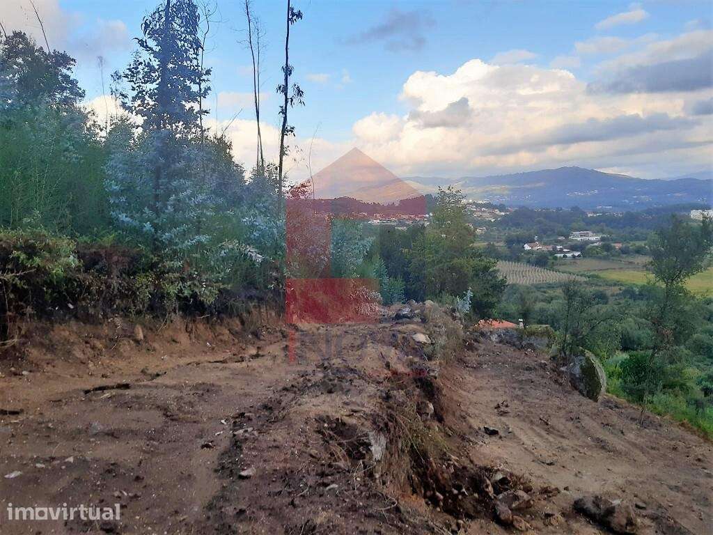 Terreno Florestal, Esqueiros - Grande imagem: 5/11