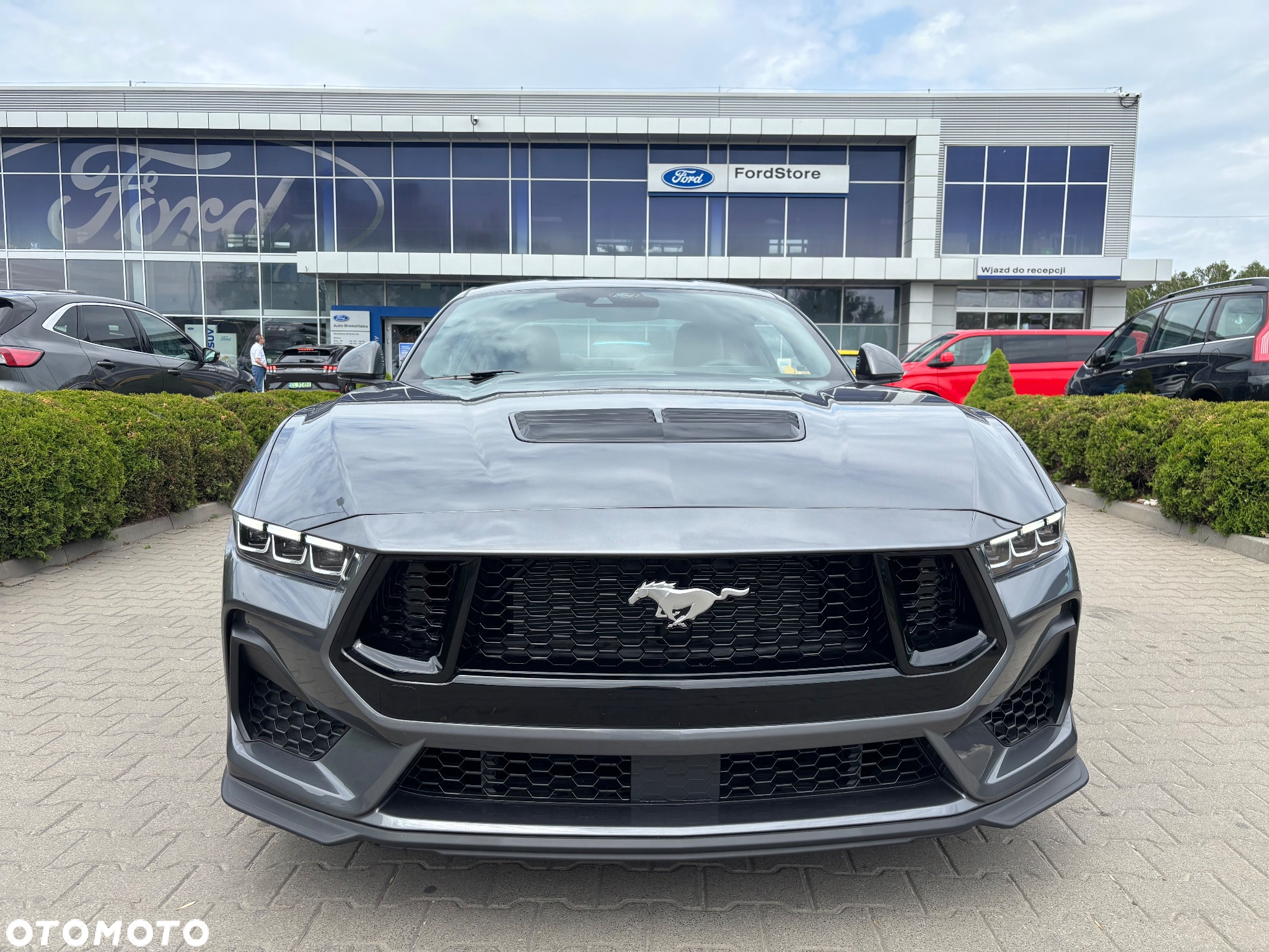 Ford Mustang 5.0 V8 GT - 10