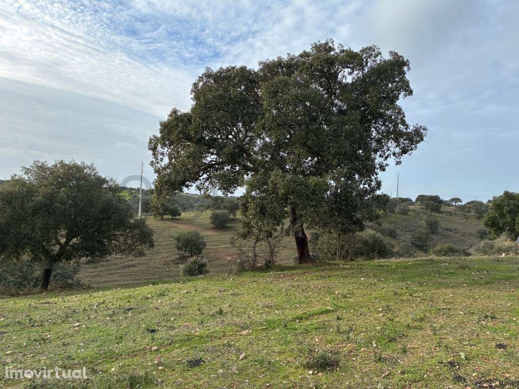 Quinta com ribeiro em Vila Nova de S. Bento no Alentejo ... - Grande imagem: 4/41