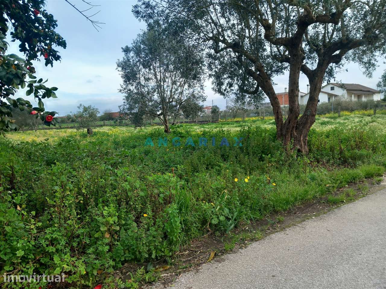 ANG1601 - Terreno para Venda em Vermoil, Pombal - Grande imagem: 2/6