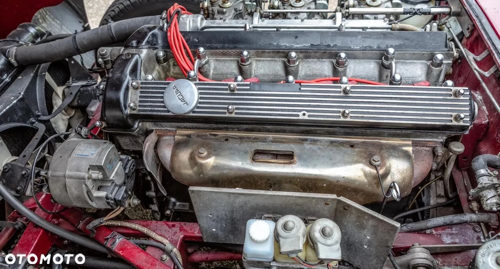 Jaguar E-Type - 7