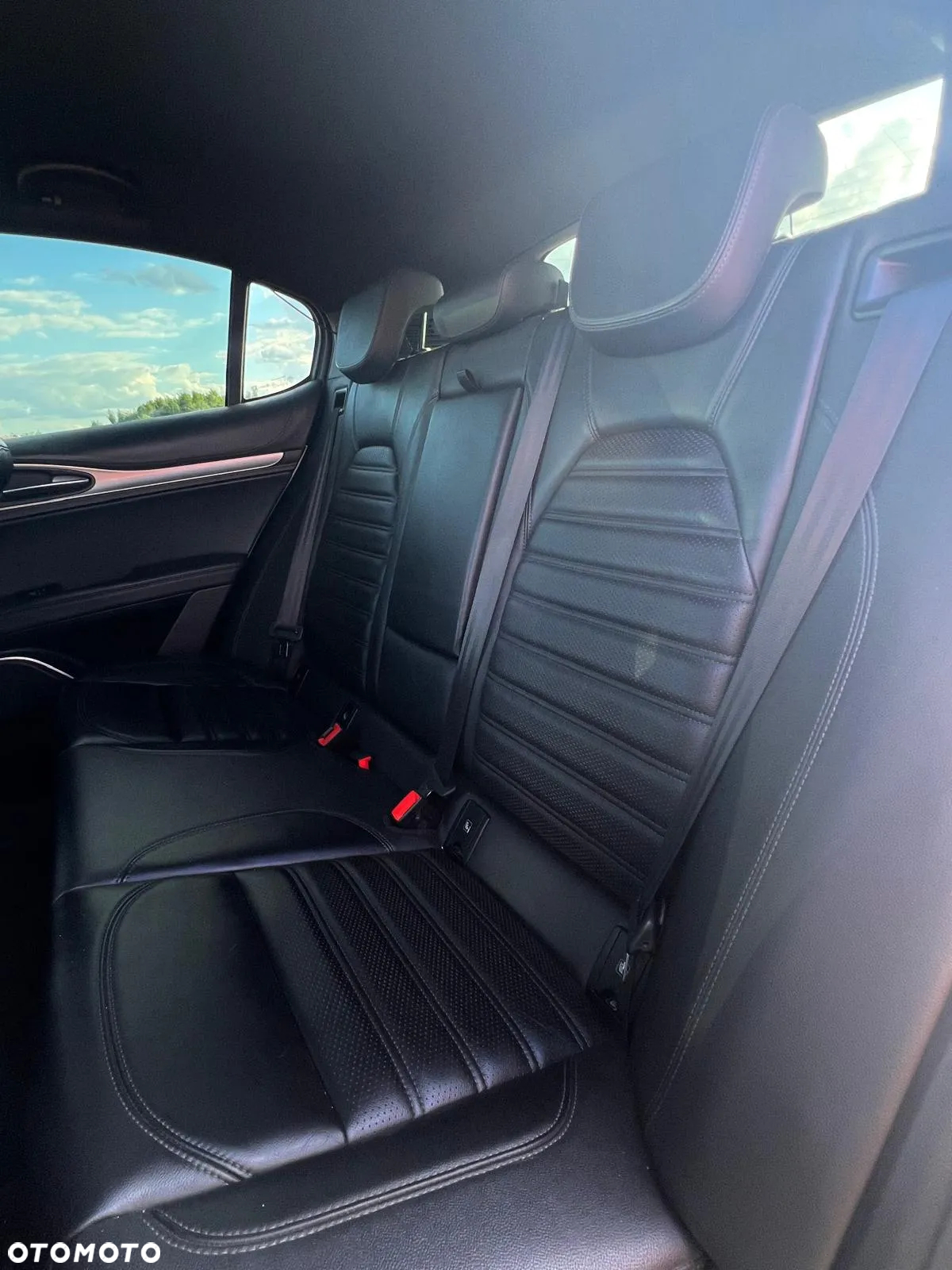 Alfa Romeo Stelvio 2.0 Turbo Veloce Q4 - 24