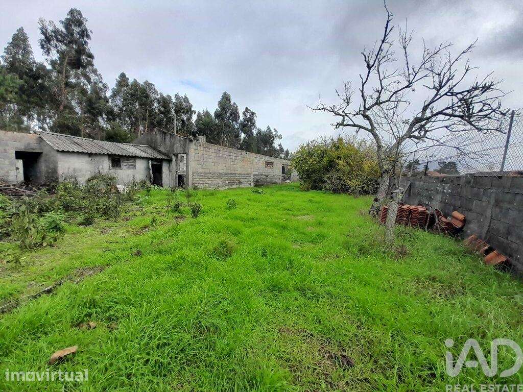 Terreno em Tocha - Grande imagem: 3/5