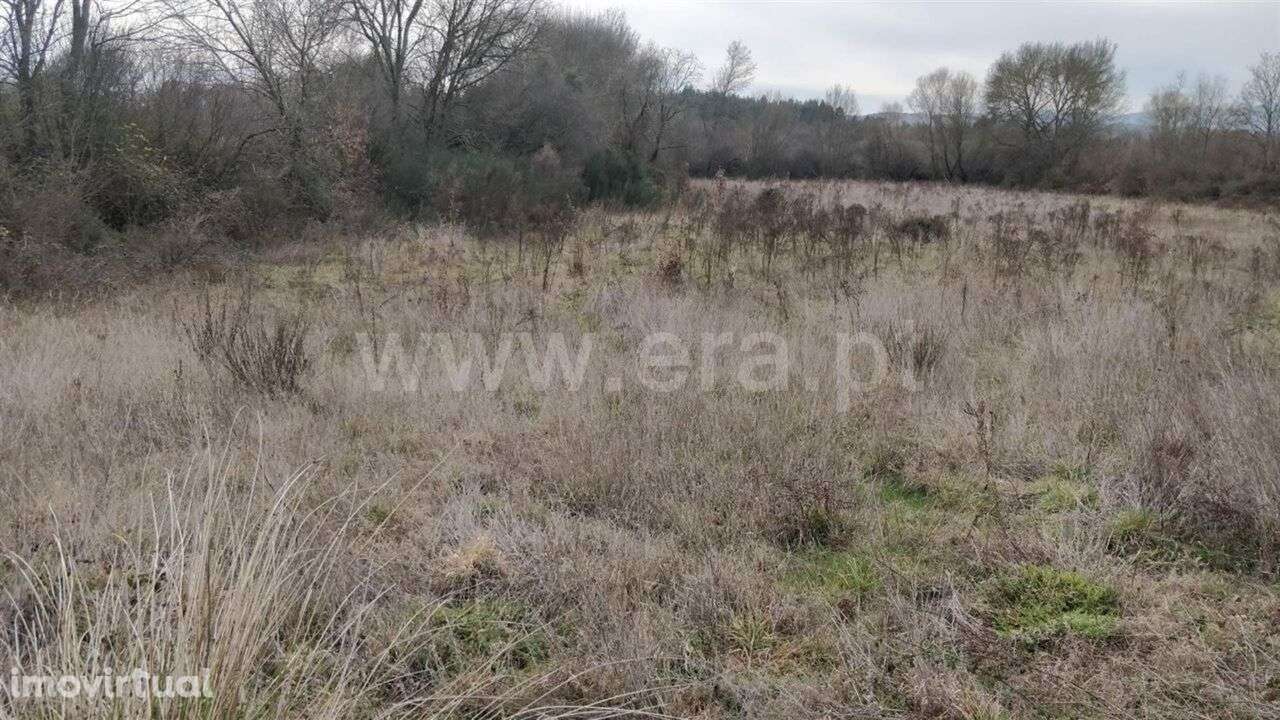 Terreno Rústico / Fundão, Vales Pêro Viseu - Grande imagem: 5/7
