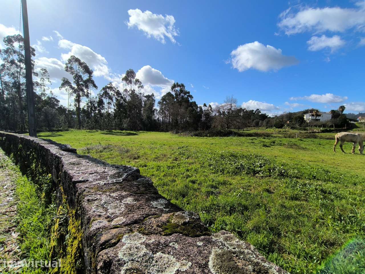 Terreno construção  1200 m2 - Grande imagem: 2/4
