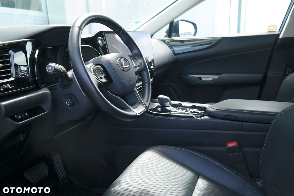 Lexus NX - 10