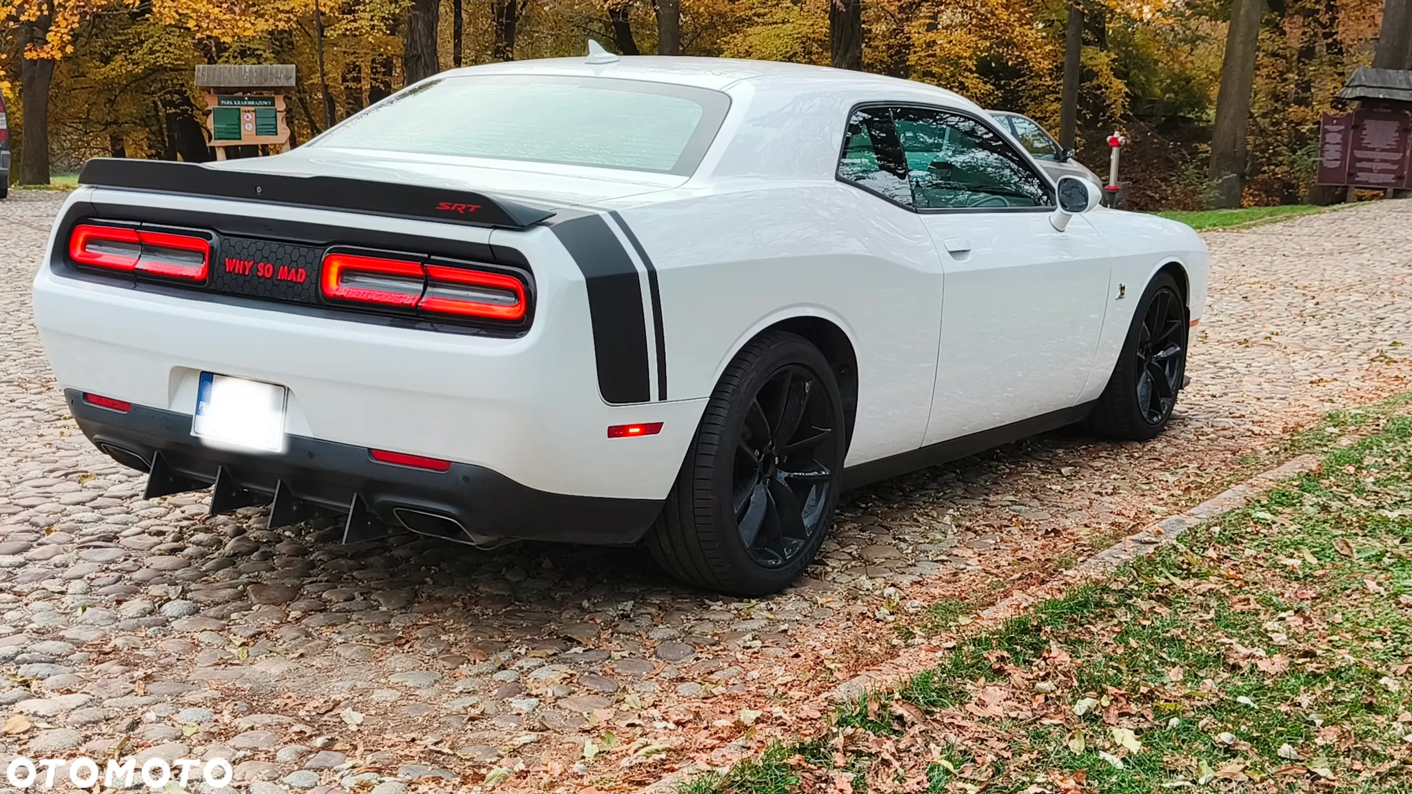 Dodge Challenger Automatik R/T Plus Scat Pack - 9