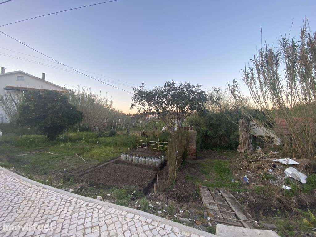 Terreno com 5.300 m² na Granja do Ulmeiro - Excelente Oportunidade! - Grande imagem: 5/8