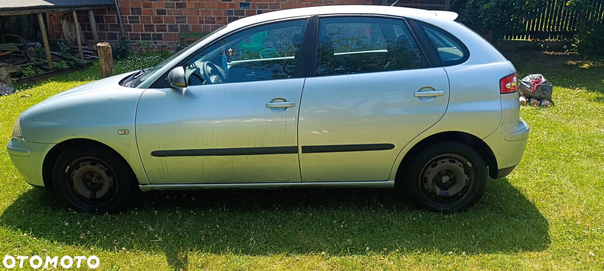 Seat Ibiza - 8