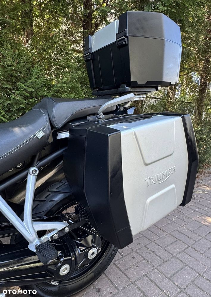 Triumph Tiger - 18