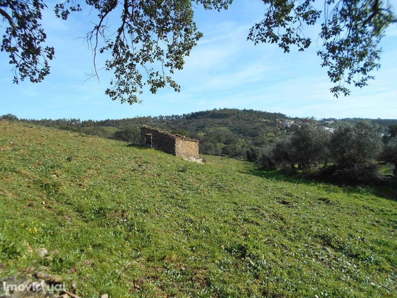 Terreno - Grande imagem: 2/4