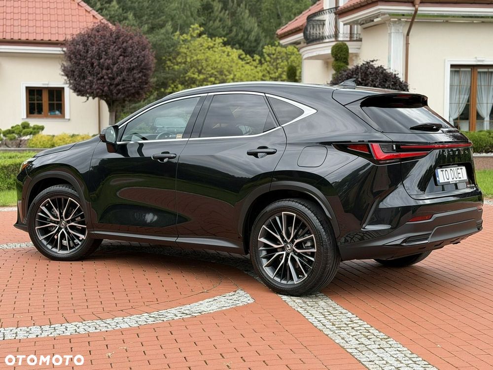 Lexus NX - 15
