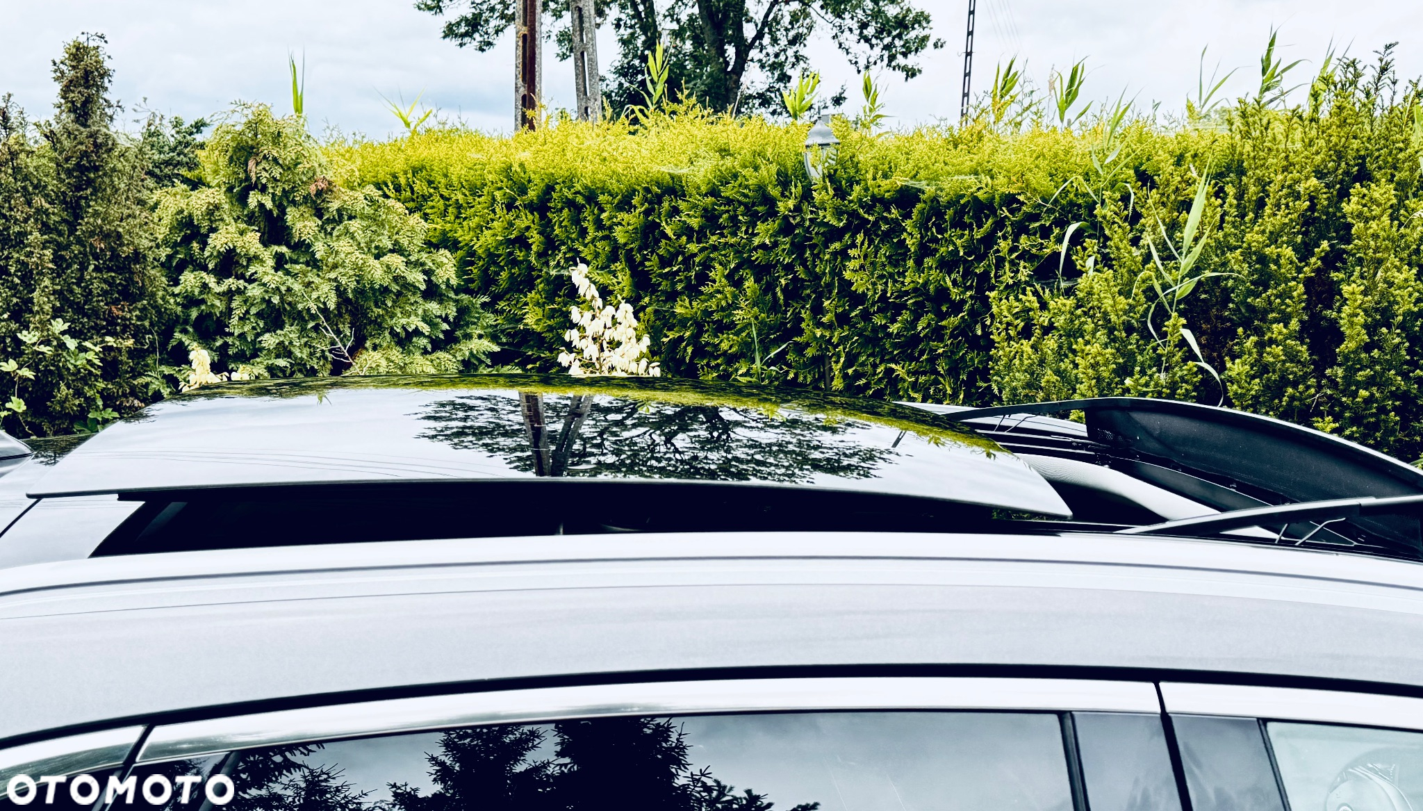 Ford Kuga 2.0 EcoBlue 4x4 TITANIUM - 5