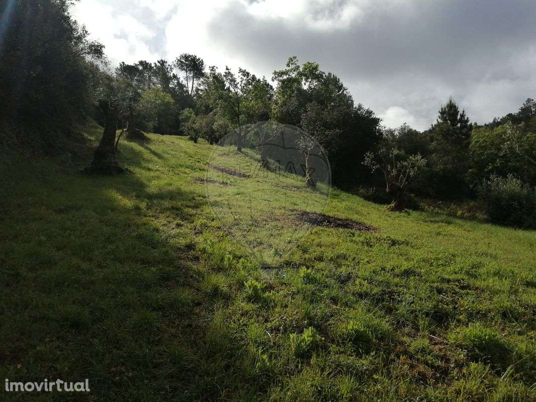 Terreno  para venda - Grande imagem: 3/4